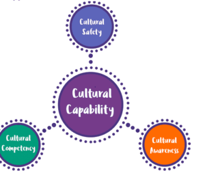 CHCDIV002 Promote Aboriginal and/or Torres Strait Islander Cultural Safety Assessment Answers