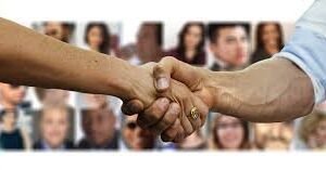 BSBWOR203 – Work effectively with others assessment answer