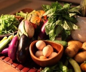 SITHCCC007 – Prepare stocks, sources and soups assessment answers